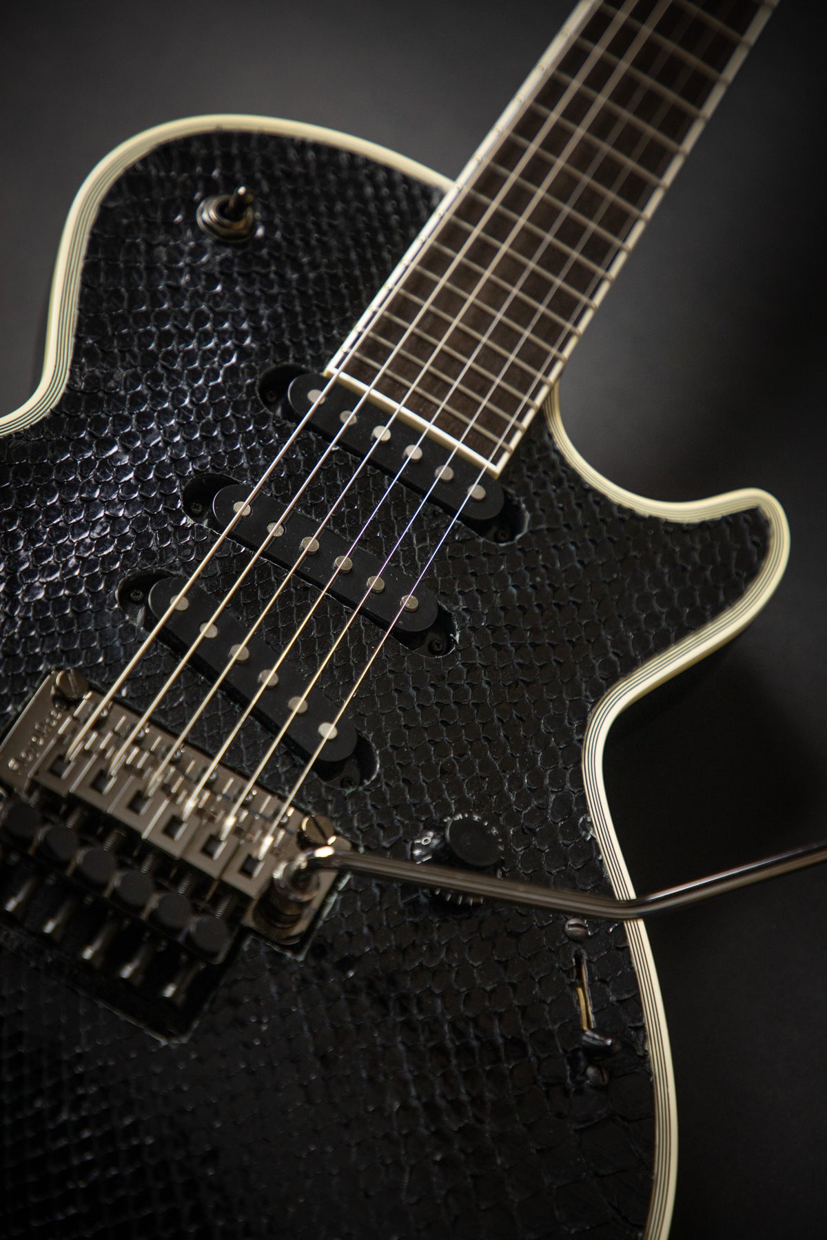 ESP Custom Shop Eclipse SI Python – Guitars Rebellion