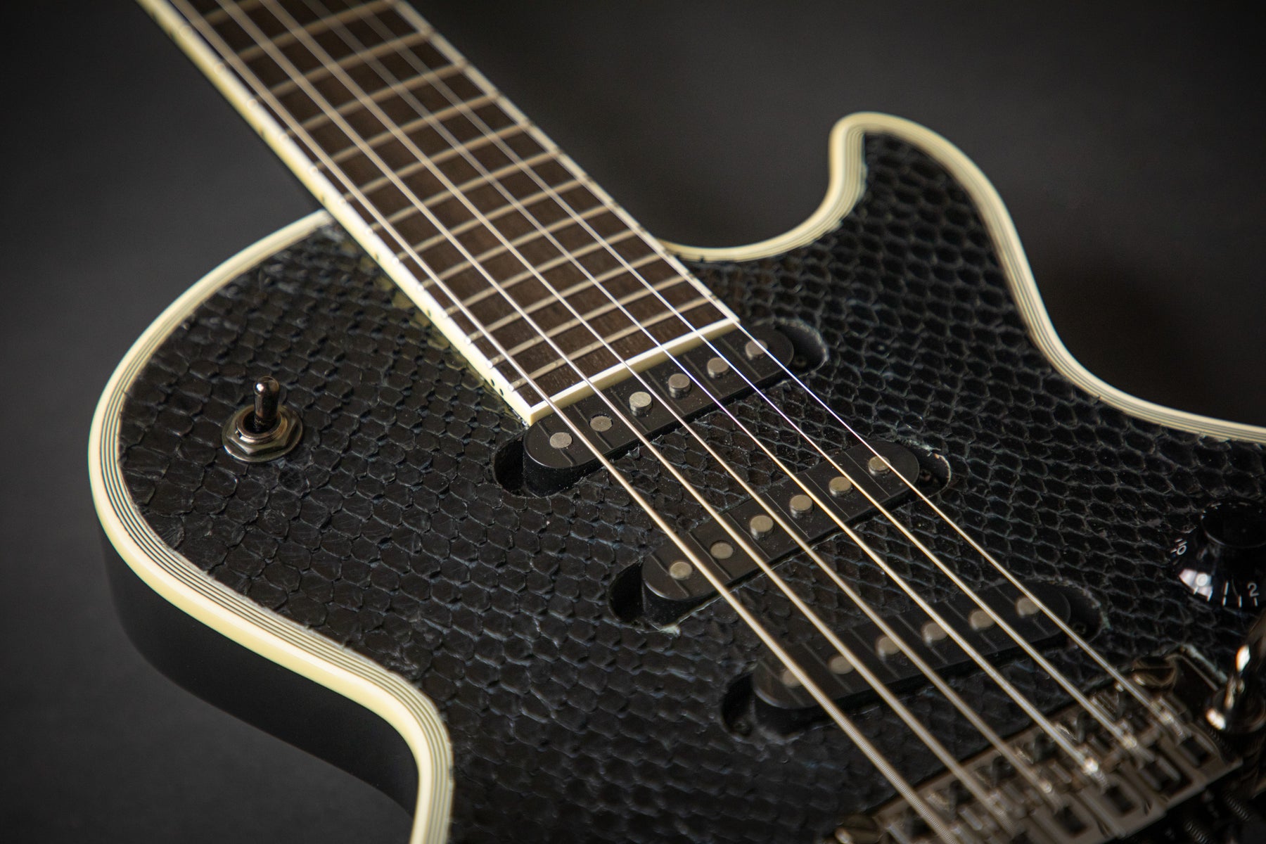 ESP Custom Shop Eclipse S-I Python – Guitars Rebellion