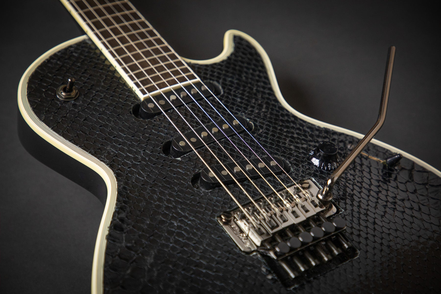 ESP Custom Shop Eclipse S-I Python – Guitars Rebellion
