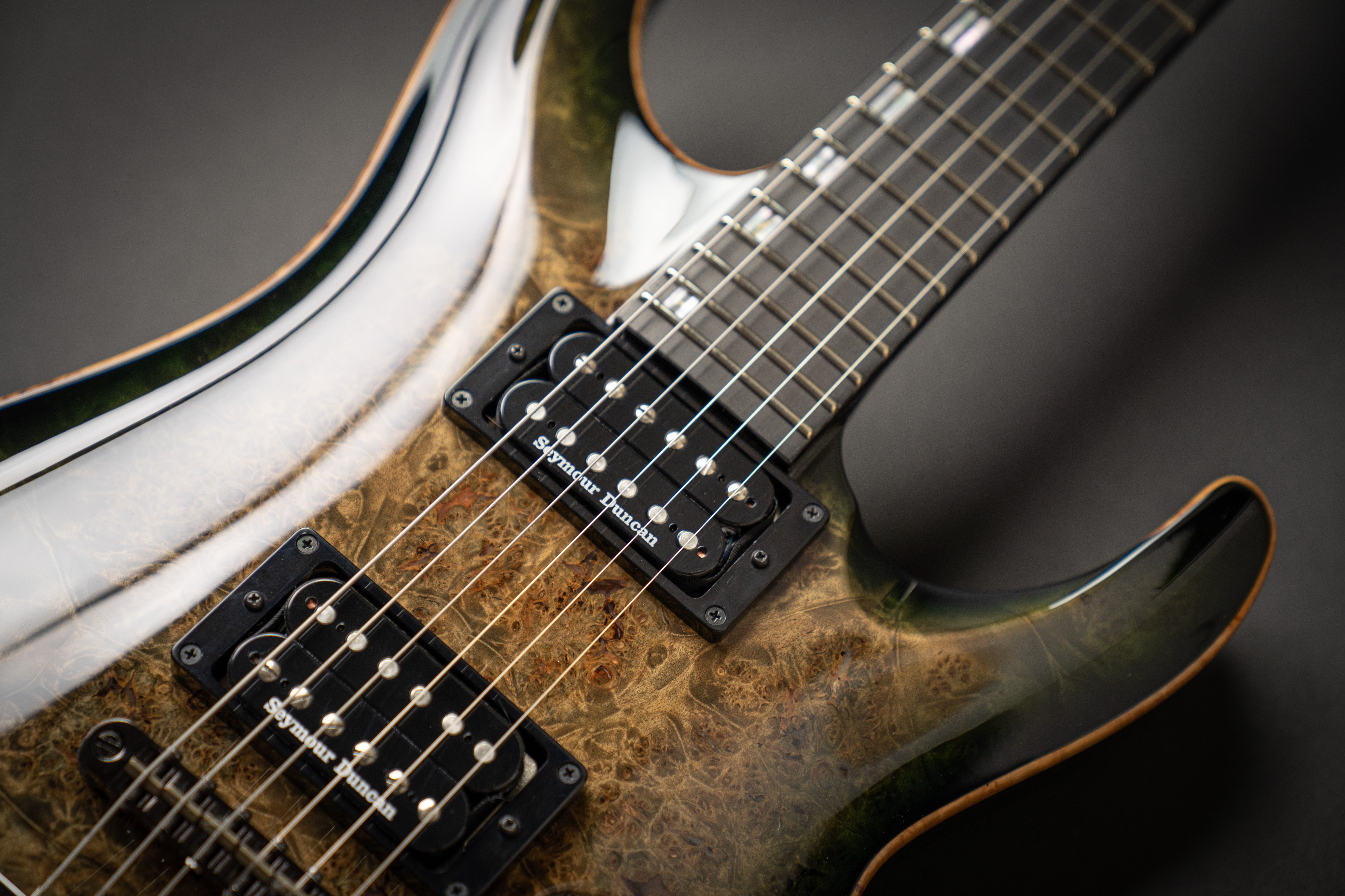 ESP Horizon モデル ESP Custom Shop Horizon-CTM NT-BM Reptile Black Burst (E0540202