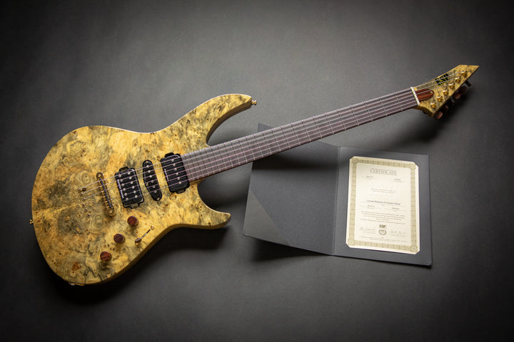 Custom Shop - One Of A Kind -  Horizon III Exotic (E0110161)