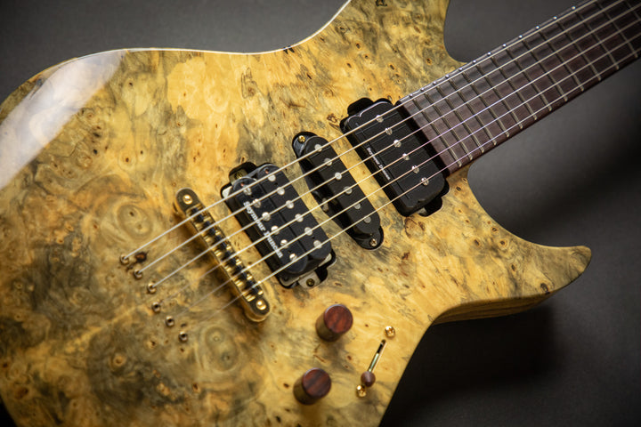 Custom Shop - One Of A Kind -  Horizon III Exotic (E0110161)