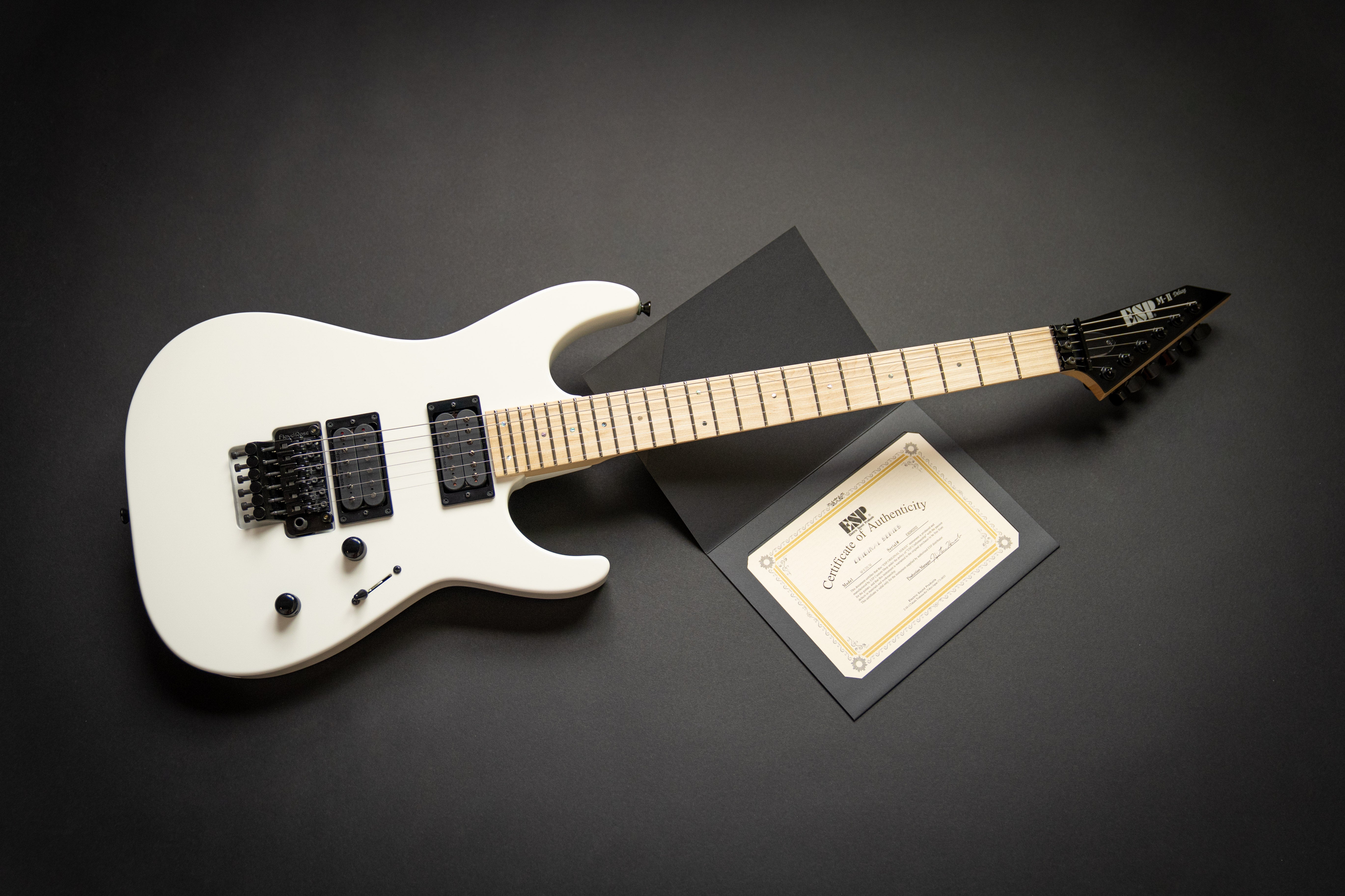 ESP Custom Shop M-II DX-M Snow White (E8090202) – Guitars Rebellion