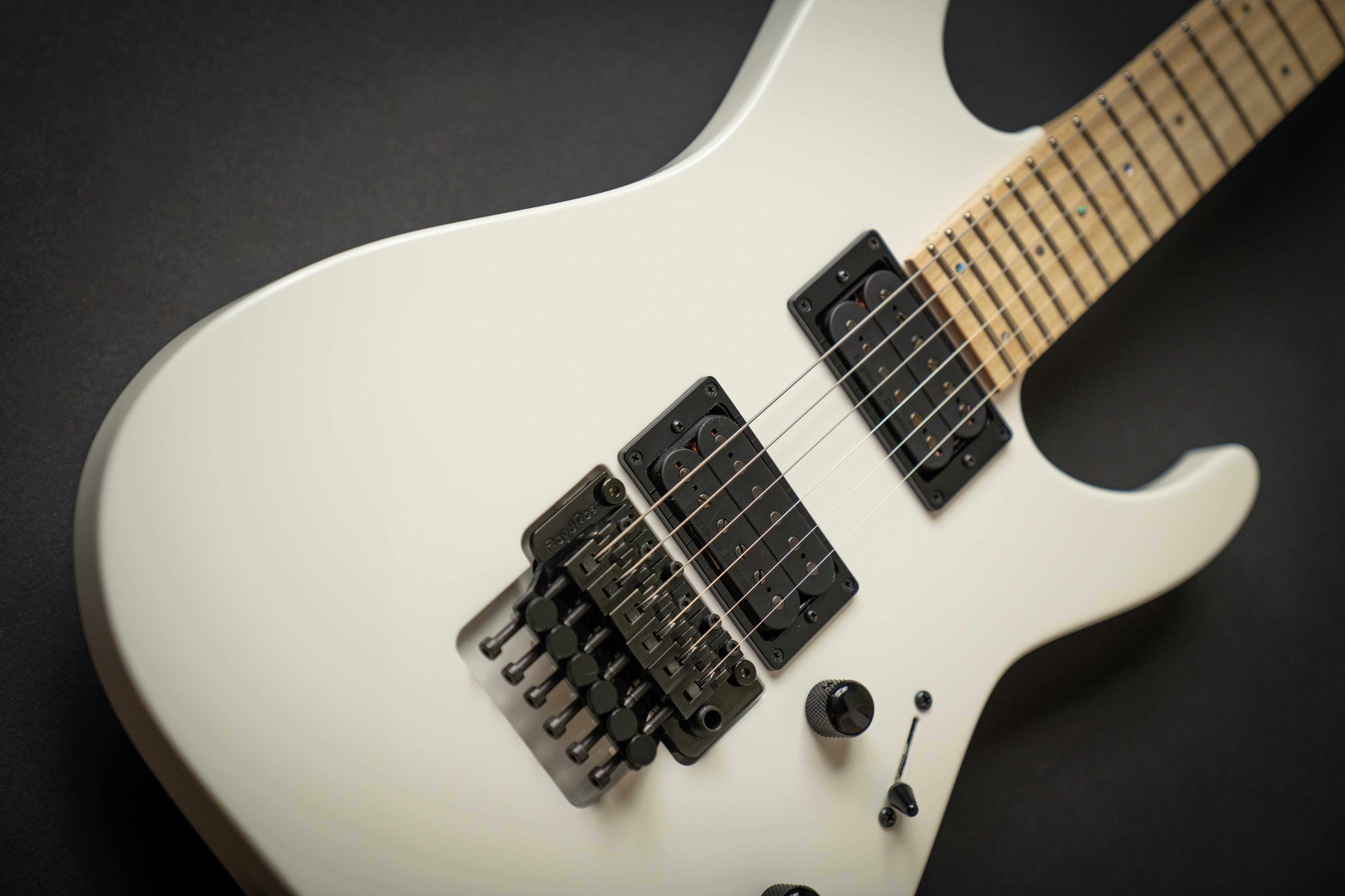 ESP Custom Shop M-II DX-M Snow White (E8090202) – Guitars Rebellion