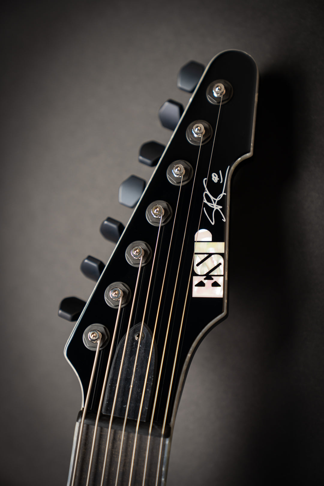 Custom Shop STEF-T7B (E9750222)