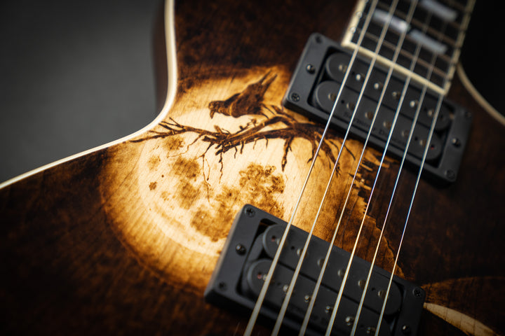 Custom Shop USA Eclipse Nosferatu #4