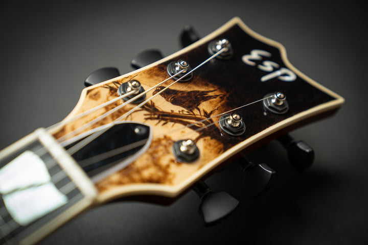 Custom Shop USA Eclipse Nosferatu #4