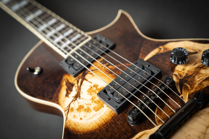 Custom Shop USA Eclipse Nosferatu #4