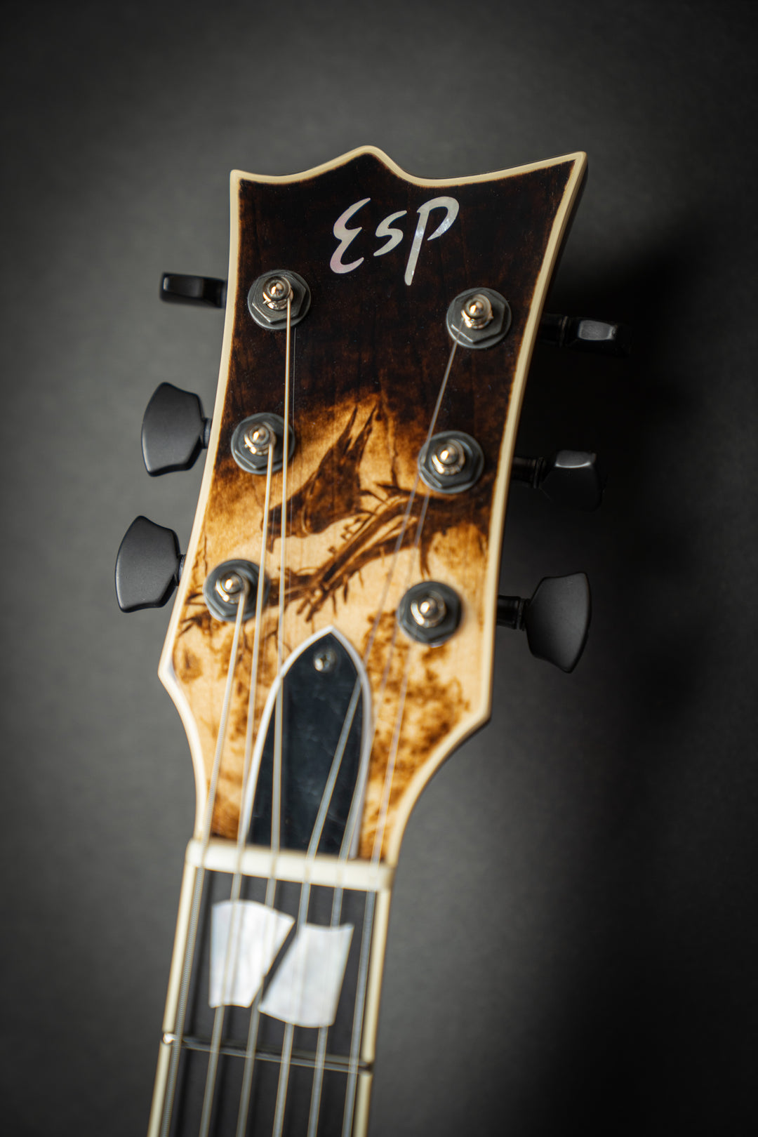 Custom Shop USA Eclipse Nosferatu #4