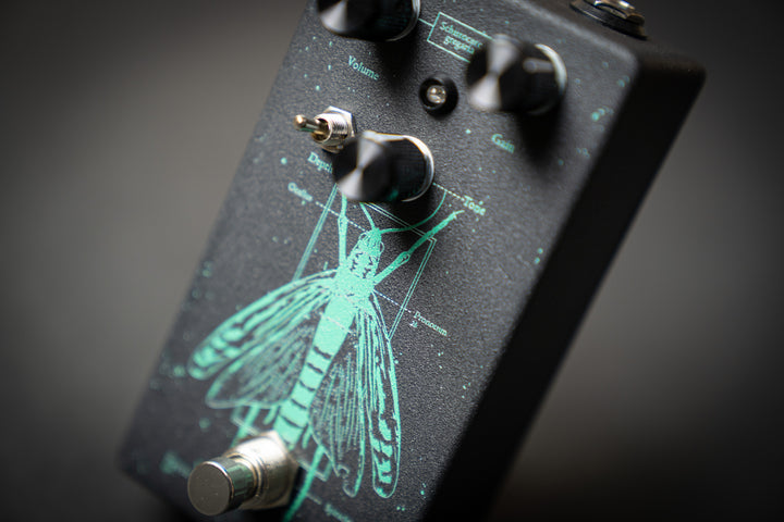 Locust