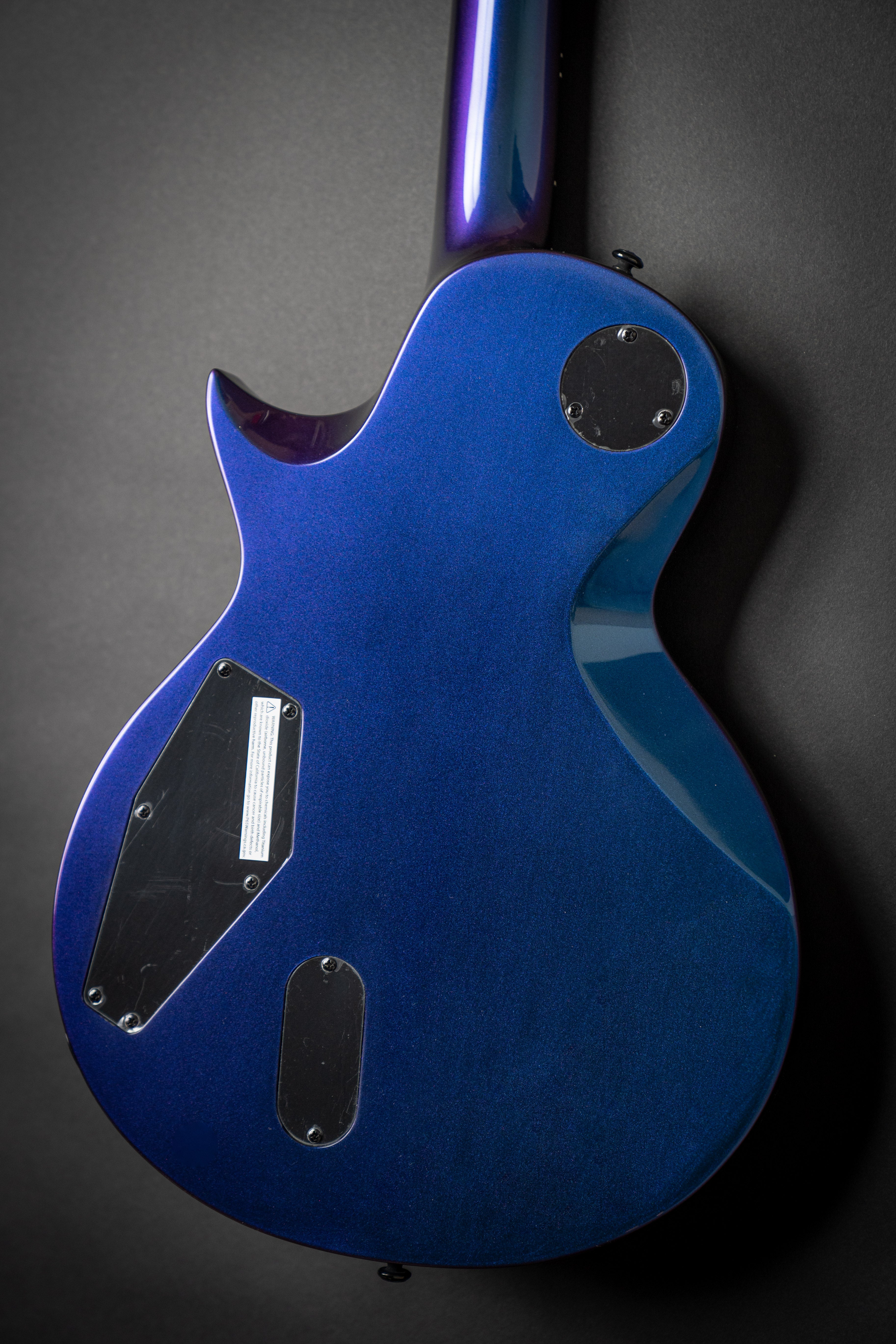 LTD EC-1000 Purple Andromeda (W21061190) – Guitars Rebellion
