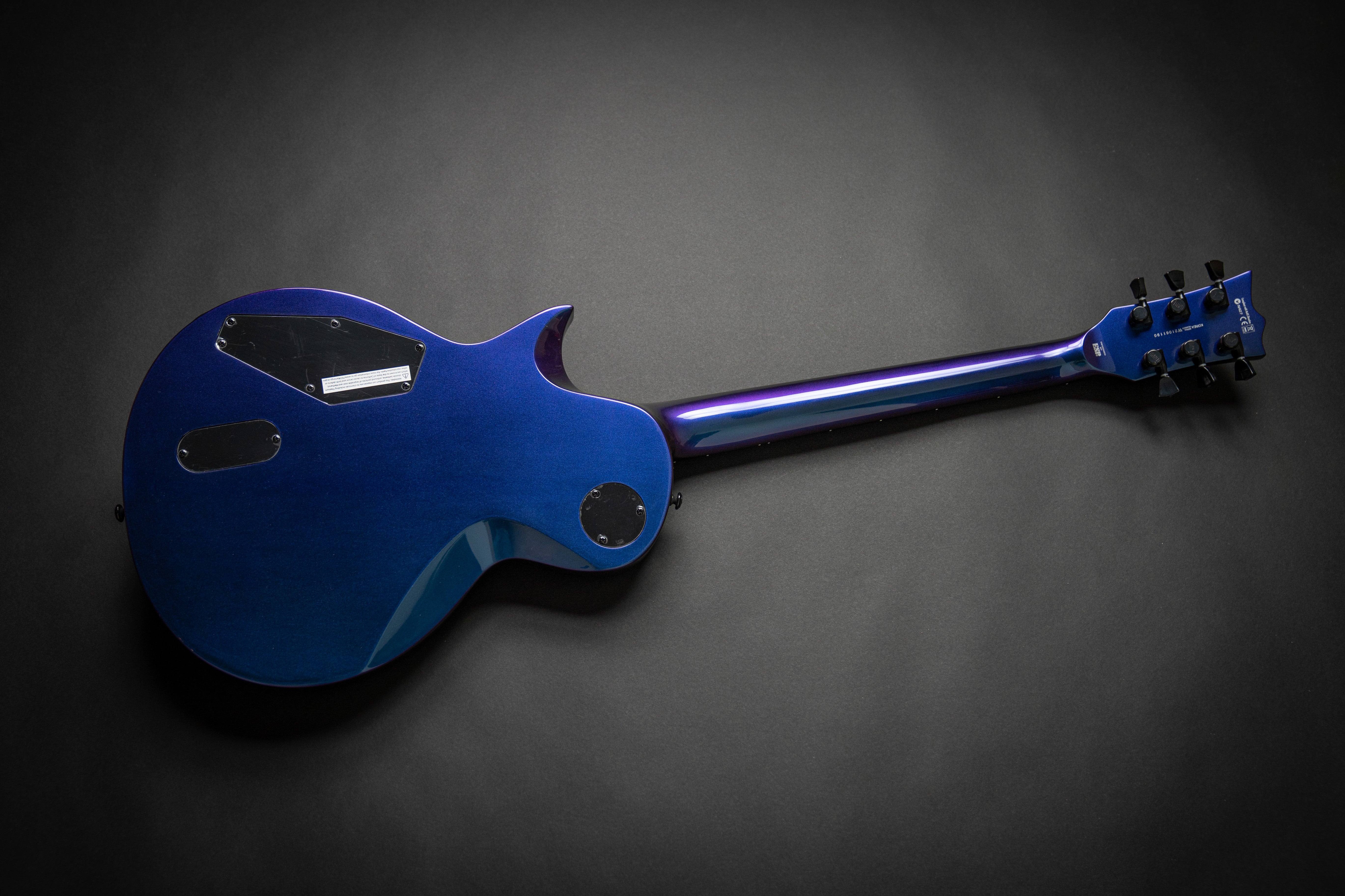 LTD EC-1000 Purple Andromeda (W21061190) – Guitars Rebellion
