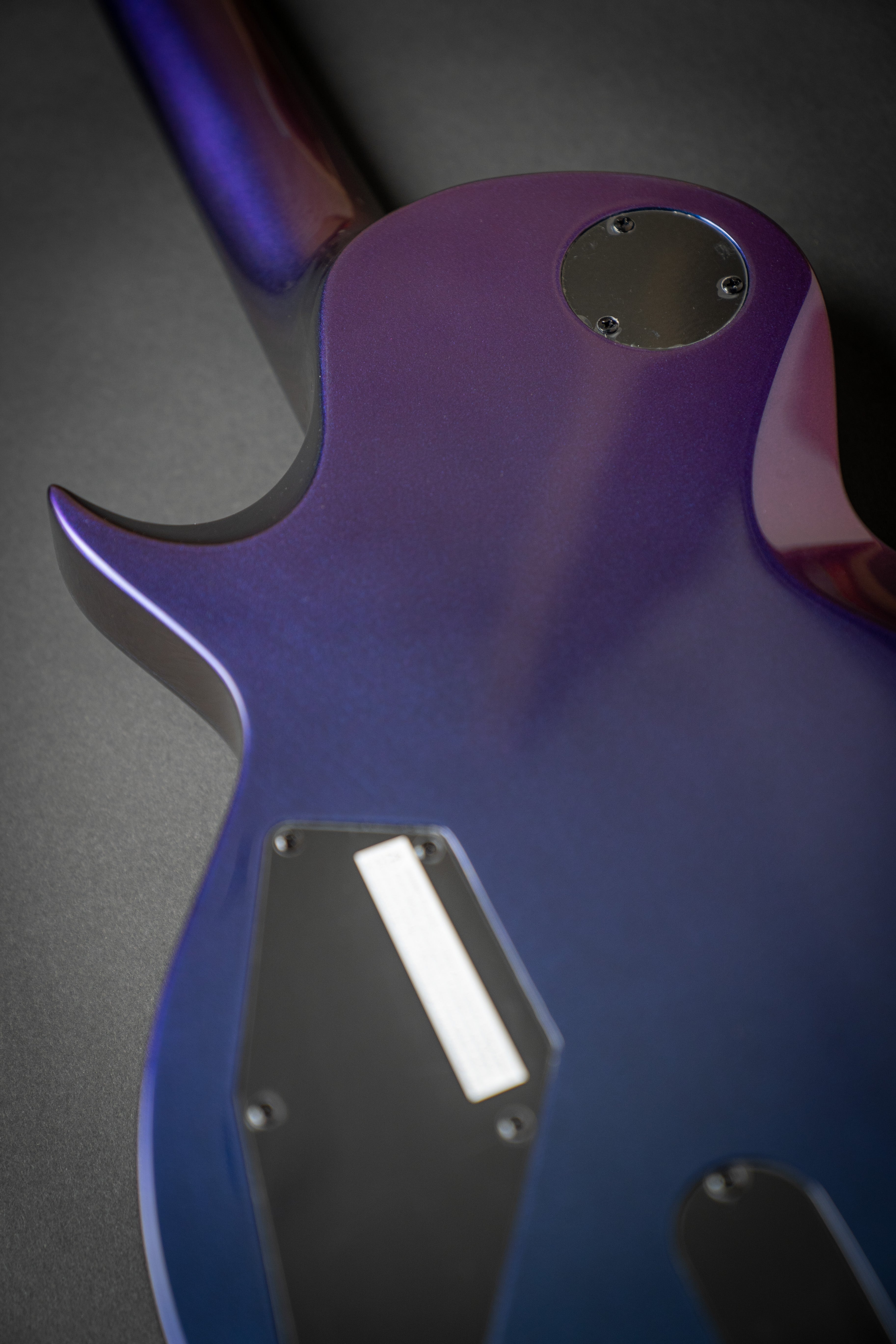 LTD EC-1000 Purple Andromeda (W21061190) – Guitars Rebellion