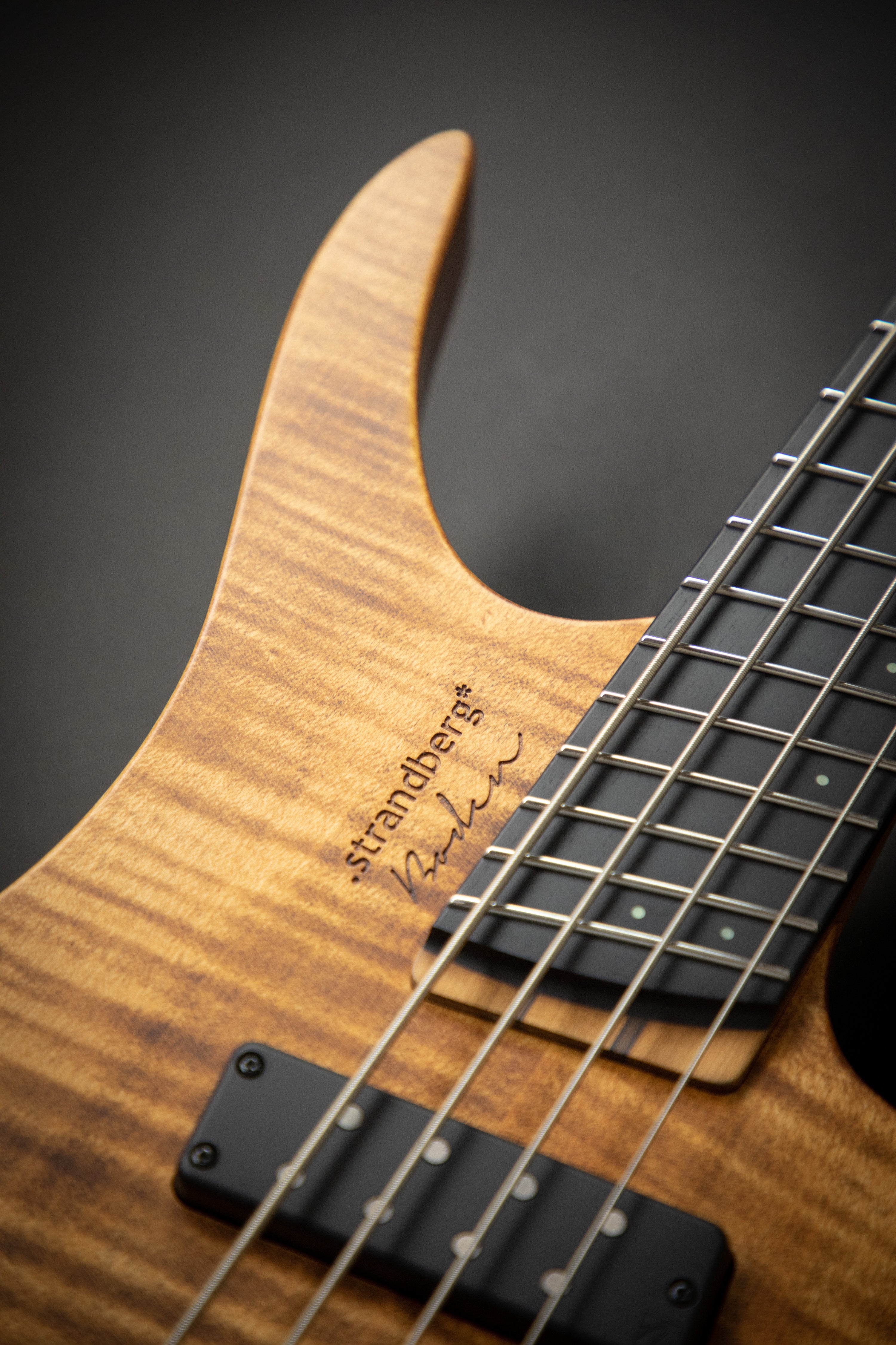 Strandberg Boden Bass Prog 4 Brown (C1901235) – Guitars Rebellion