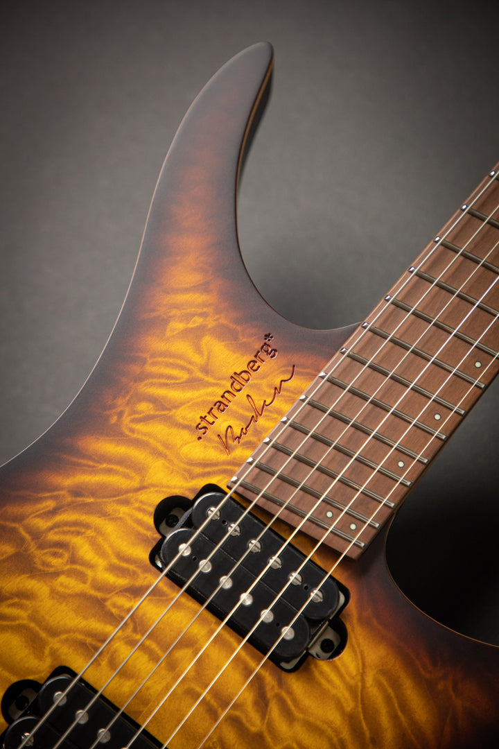 Boden Standard 6QM Bengal Burst (C2101004)
