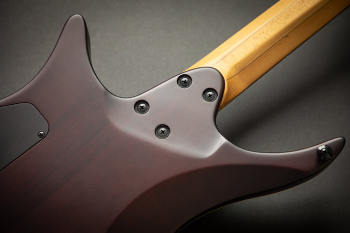Boden Standard 6QM Bengal Burst (C2101004)