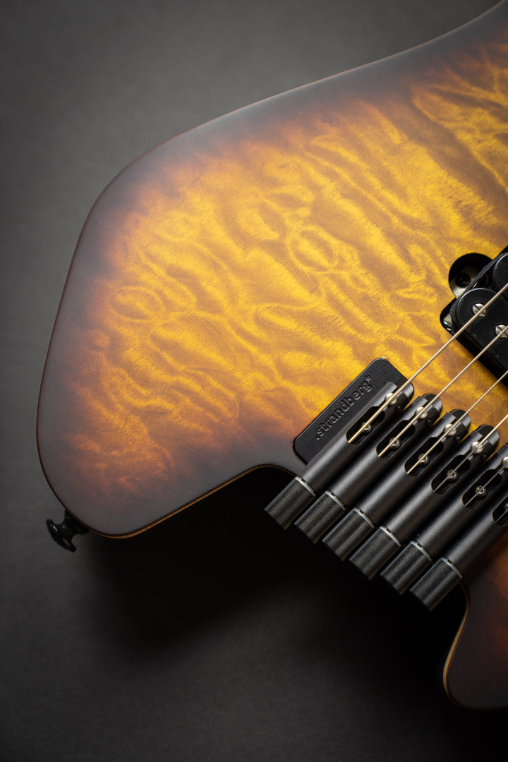 Boden Standard 6QM Bengal Burst (C2101035)