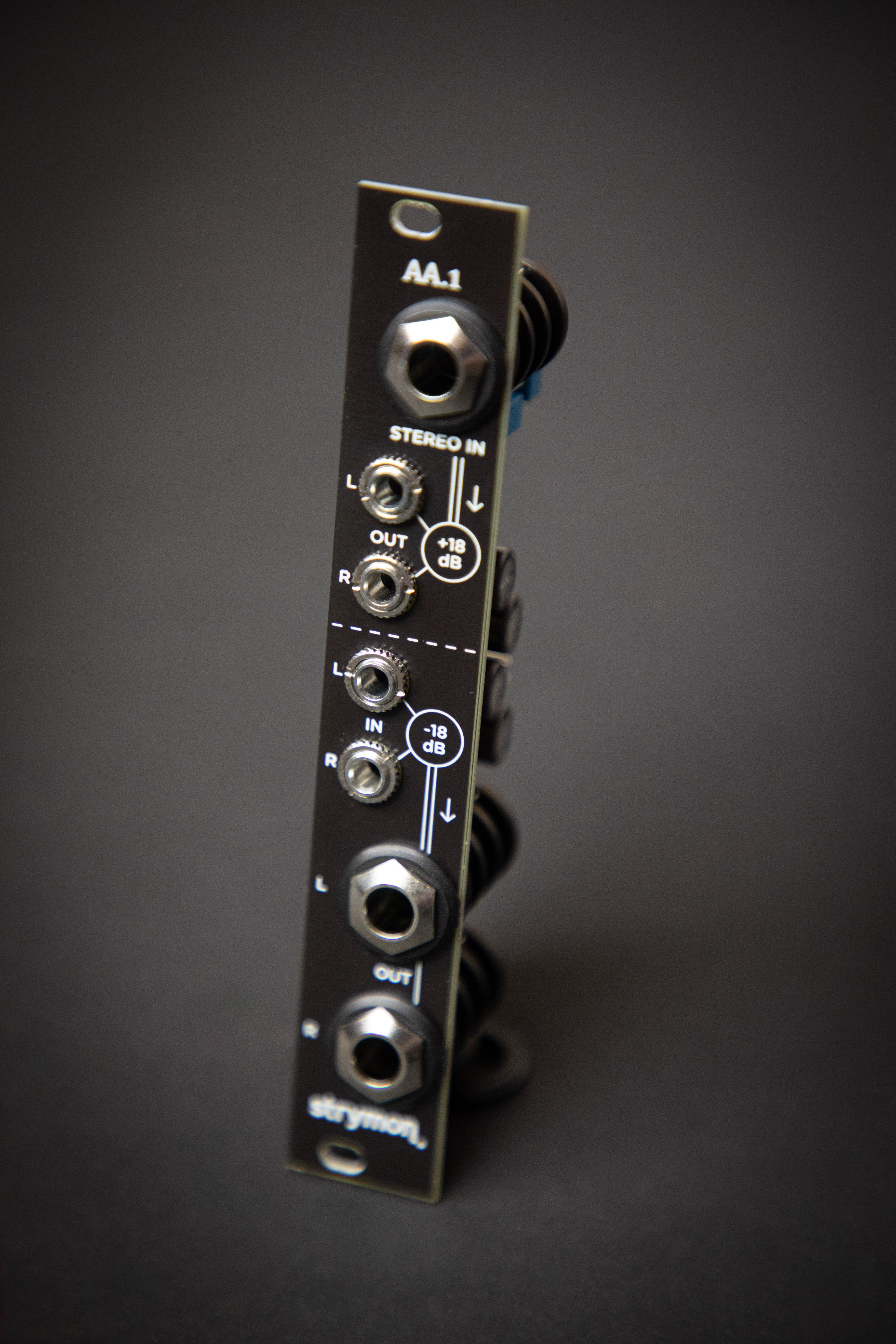 Strymon AA.1 – Guitars Rebellion