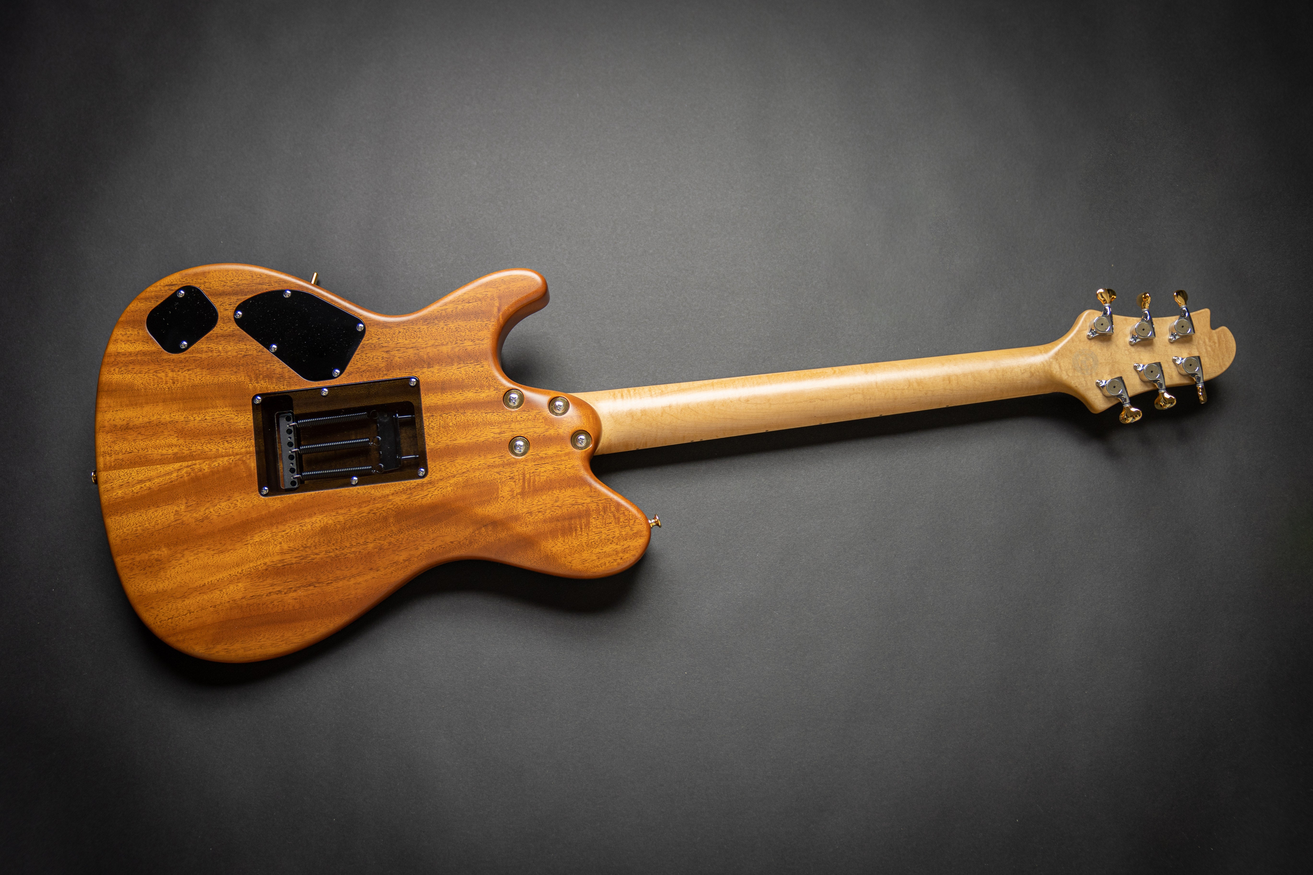 Guitar Gallery : DS496 / Sugi Japan - Sugi Guitars / スギギター