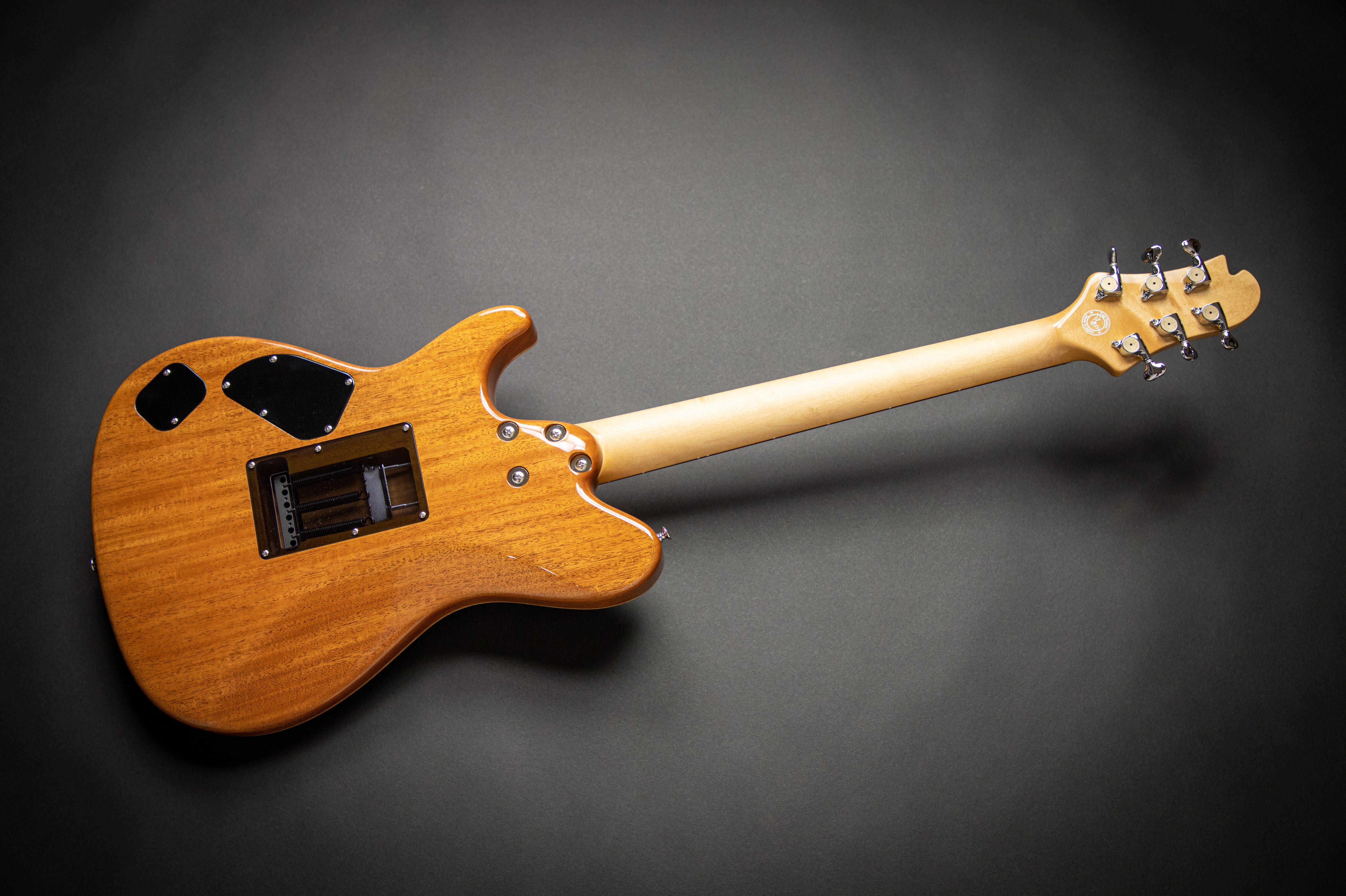 Sugi Guitars DS496 57本目の初期型 Sugi Guitars DS496 57本目の初期型 Sugi Guitars DS496 57本目の初期型