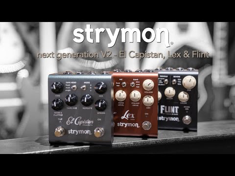 Flint Tremolo & Reverb V2