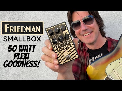 Friedman Smallbox – Guitars Rebellion