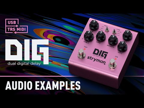 Strymon Dig V2 – Guitars Rebellion